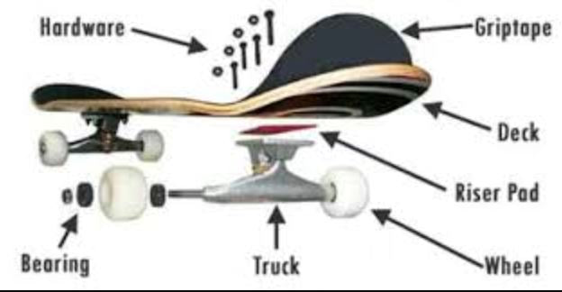 A Guide to Skateboard Construction: Understanding Your Board's Anatomy